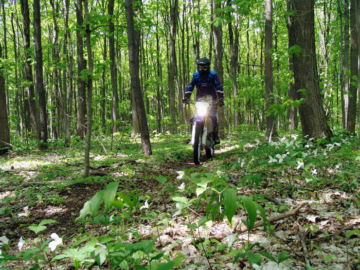 dirt bike riding school near me